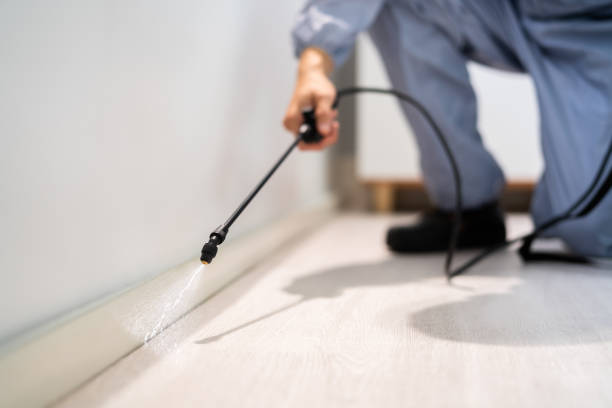 Licensed Fumigation Services service in Hancock County County, OH - Nex Pest Control